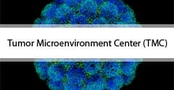 Tumor Microenvironment Center (TMC)