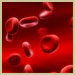 Blood cells