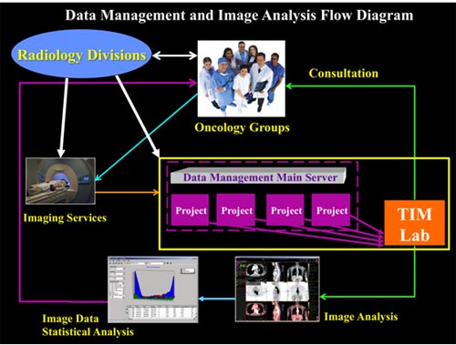 Data Management and Image Analysis Flow Diagram