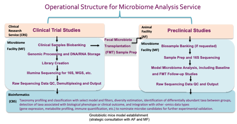 Operational Structure for Microbiome Analysis Service