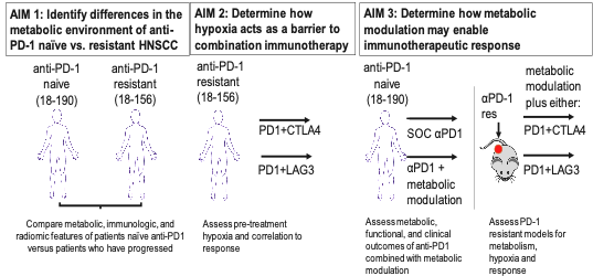 Schematic of 3 aims