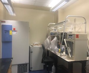 Fecal Microbiota Transplant Lab