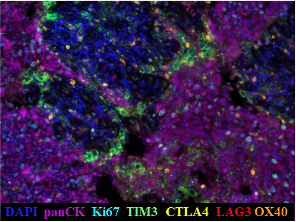 example of multispectral image analysis